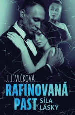 Rafinovaná past 2 - Síla lásky - J. J. Vlčková