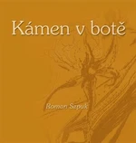 Kámen v botě - Lenka Sýkorová, Roman Szpuk