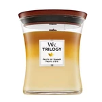 Woodwick Trilogy Fruits of Summer świeca zapachowa 275 g