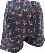 Men's shorts VoXX multicolor