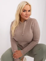 Women's navy beige plus size sweater with viscose