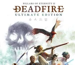 Pillars of Eternity II: Deadfire Ultimate Edition US XBOX One / Xbox Series X|S CD Key