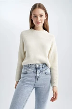 DEFACTO Regular Fit Sweter z dzianiny z okrągłym dekoltem