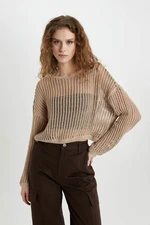 DEFACTO Relax Fit Boat Neck Crochet Sweater