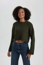 DEFACTO Regular Fit Crew Neck Sweater