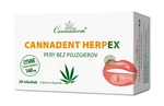 Cannaderm Cannadent Herpex