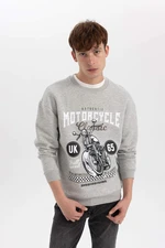 DEFACTO Comfort Fit Printed Long Sleeve Sweatshirt