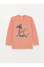 LC Waikiki Crew Neck Long Sleeve Printed Baby Boy T-Shirt