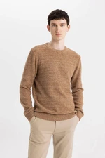 DEFACTO Standard Fit Regular Cut Crew Neck Textured Basic Plain Knitwear Sweater