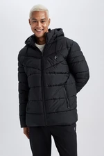 DEFACTO Fit Standard Fit Hooded Faux Für Puffer Jacket