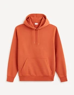 Celio Vesix Hoodie - Men