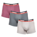 3PACK men's boxers Levis multicolored