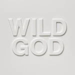 Nick Cave & The Bad Seeds - Wild God (LP)