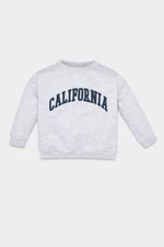 DEFACTO Baby Boy Gray Crew Neck Text Printed Sweatshirt