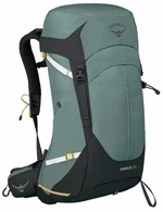 Osprey Sirrus 26 Succulent Green Outdoor Sac à dos