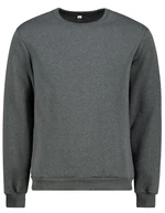 Men's sweatshirt by Aliatic