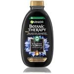 Garnier Botanic Therapy Magnetic Charcoal čistiaci šampón, 250 ml