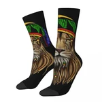 Crazy Sock for Men African Music Lover Classic Hip Hop Rasta Flag Lion Quality Pattern Printed Boys Crew compression Sock