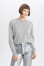 DEFACTO Crew Neck Shiny Fabric Sweater