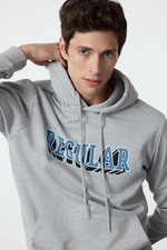 Trendyol Snow Melange Regular/Normal Cut Hooded Printed Sweatshirt with Fleece Inside