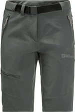 Jack Wolfskin Ziegspitz Shorts W Slate Green S-M Pantaloni scurți