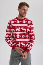 DEFACTO New Year's Themed Standard Fit Patterned Crew Neck Sweater