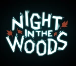 Night in the Woods EU Steam Altergift