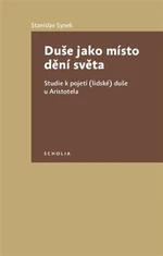 Duše jako místo dění světa - Stanislav Synek