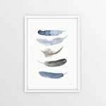 Obraz Piacenza Art Feathers, 30 × 20 cm