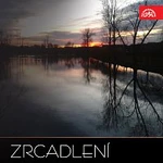 Různí interpreti – Zrcadlení