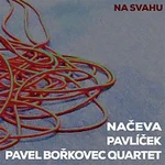 Naceva, Pavlicek, Pavel Borkovec Quartet – Na svahu