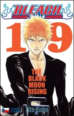 Bleach 19 - Tite Kubo