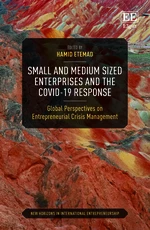 Small and Medium Sized Enterprises and the COVID-19 Response