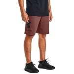 Ua cotton big logo shorts-red