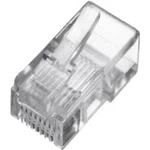 Zástrčka, rovná Digitus A-MO 8/8 SR, RJ45 Cat6 1 ks