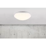 Venkovní stropní LED osvětlení Nordlux Ask, 45356001, 12 W, N/A, bílá