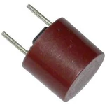 Miniaturní pojistka ESKA pomalá 887109, 250 V, 160 mA, 8,35 mm x 7.7 mm