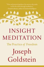 Insight Meditation