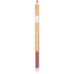 Astra Make-up Pure Beauty Lip Pencil kontúrovacia ceruzka na pery natural odtieň 05 Rosewood 1,1 g