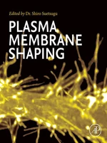 Plasma Membrane Shaping