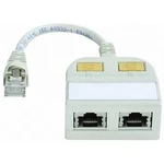 RJ45 síťový, ISDN Y adaptér Telegärtner J00029A0013 [1x RJ45 zástrčka - 2x RJ45 zásuvka], šedobílá (RAL 7035)