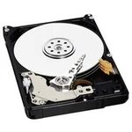 Interní pevný disk 6,35 cm (2,5") Western Digital AV-25 WD10JUCT, 1 TB, Bulk, SATA II