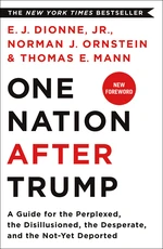 One Nation After Trump