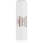 Green Pharmacy Lip Care Lingonberry and Cranberry vyživující balzám na rty SPF 10 3.6 ml