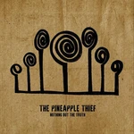 The Pineapple Thief - Nothing But The Truth (2 LP)