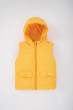 DEFACTO Baby Boy Hooded Vest