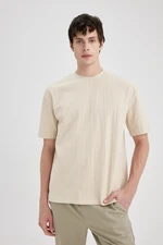 DEFACTO Oversize Fit Crew Neck Short Sleeve T-Shirt