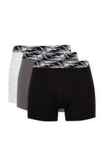 DEFACTO Regular Fit 3-pack Boxer