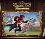 Harry Potter: Quidditch Champions Deluxe Edition PC Steam CD Key