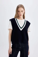 DEFACTO Regular Fit V-Neck Thessaloniki Knitted Sweater